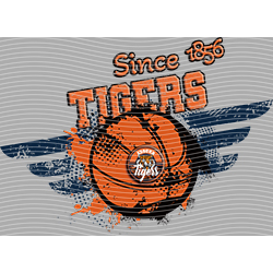 rugby team-NF 6052